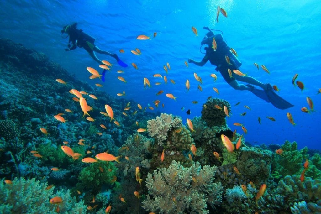 Egypt - Top Things To Do 7 DAHAB DIVING