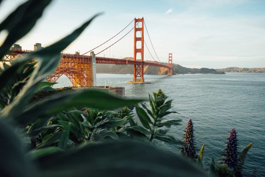 TIM FOSTER O4MP43OPGHK UNSPLASH